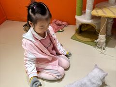 -三花喵·撸猫购宠·宠物生活馆(虹桥南丰城店)
