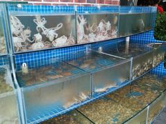 -蟹谢蒸鲜自助餐厅