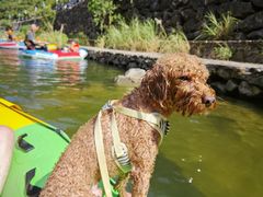 -仙人谷漂流景区