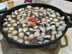 -顺德哥卜卜贝(旗舰店)