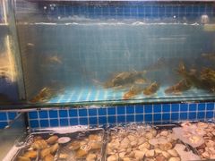 -鹿客臻鲜海鲜自助餐厅(永旺店)