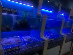 水产区-老虎滩大连海鲜烧烤(建邺云锦路总店)