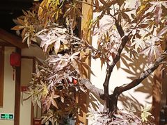 -锦绣金山人家(友谊店)