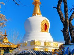 -护国法轮寺