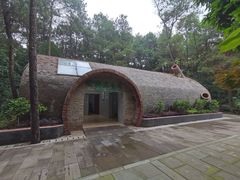 -铁山坪森林公园