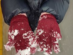 -松江大学城体育馆滑冰馆