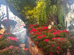 -山东嘉汇文化用品有限公司张店凤凰国际分公司(新村西路店)