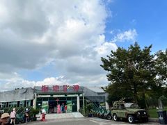 -上海海湾国家森林公园