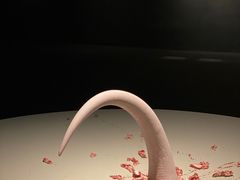 -上海当代艺术博物馆