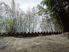 -铁山坪森林公园