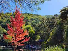 -香山公园
