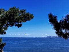 -养马岛旅游度假区