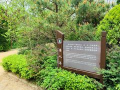 -日照海滨国家森林公园