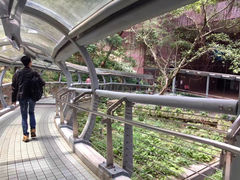 -香港大学