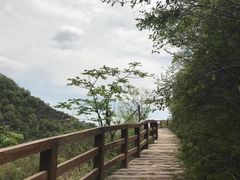 -邢台大峡谷