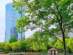 -新虹桥中心花园