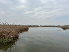 -宁波杭州湾国家湿地公园