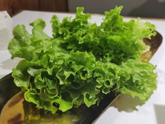 自助生菜-老板娘的烤肉店(港湾广场店)