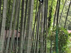 -宝岩生态观光园