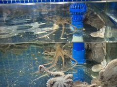 -常家活海鲜小吃(仅一家无分店)