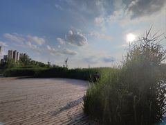 -九里湖国家湿地公园