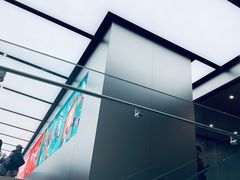 -Apple 零售店(Canton Road)