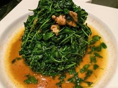 蚌肉金花菜-松鹤楼(山塘街店)