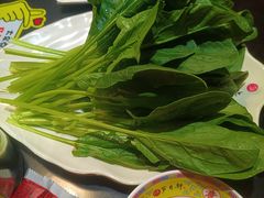 -芦月轩羊蝎子(劲松店)