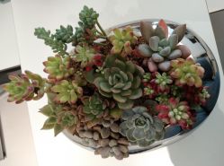 -颜蕾医美·黄金微针·水光·玻尿酸·超声炮·抗衰中心