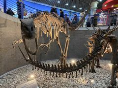 -国家自然博物馆