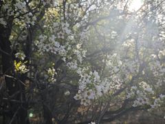 -红山国家森林公园
