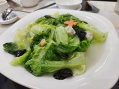 -港升鱼师傅·中山脆肉鲩