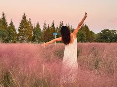 -军山湖云水间生态农业旅游景区