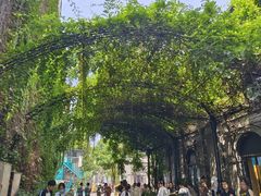 -南京中国近代史遗址博物馆(南京总统府)