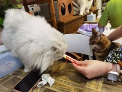 -小时光咖啡馆(北锣鼓巷店)