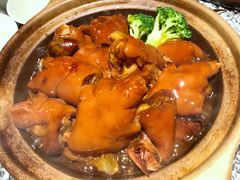 金蚝炆猪脚-粤凤佬