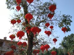-广东茂名森林公园