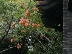 -东山雕花楼