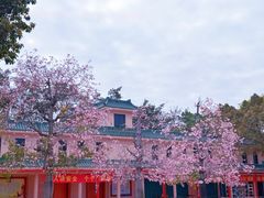 -广东圆玄道观