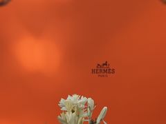 -深圳湾万象城(南山店)