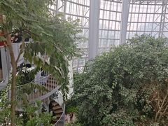 -郑州植物园