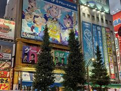 -秋叶原电器街