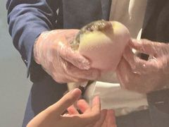 -肆月河豚·新淮扬菜·烤鸭(中关村店)