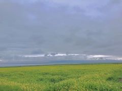 -青海湖国家重点风景名胜区