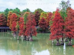 -青山湖景区