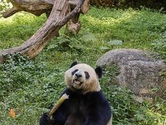 -广州长隆野生动物世界