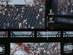 -堤角公园