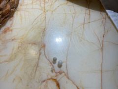 -Oyster Talks 四度蚝法餐厅