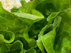 -香满锅老北京羊蝎子火锅·家常菜(新街口店)