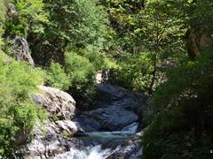 -云岫谷游猎自然风景区